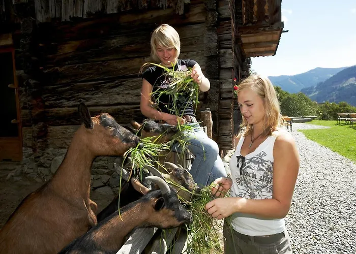 Eggerhof 4* Saalbach-Hinterglemm